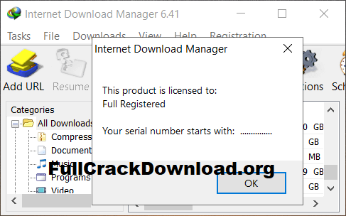 Download Internet Download Manager full crack